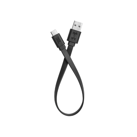 UA True Wireless Flash X - USB cable - Black - Hero