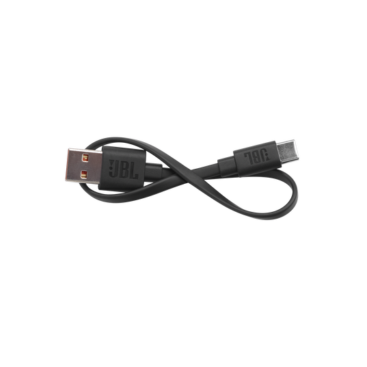USB Cable for Tour Pro+ TWS - Black - Hero