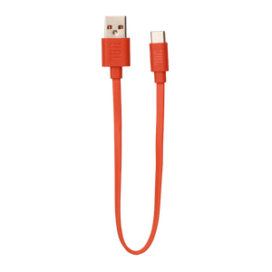 USB Type-C Charging Cable for JBL Junior 470NC | JBL Junior 470NC