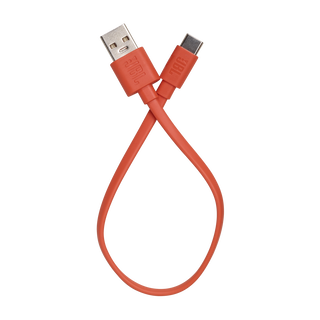 Image of USB Type-C Charging Cable for JBL Endurance Race 2