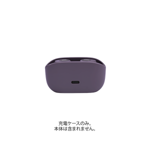 Alternative image of WAVE 100TWS Charging case