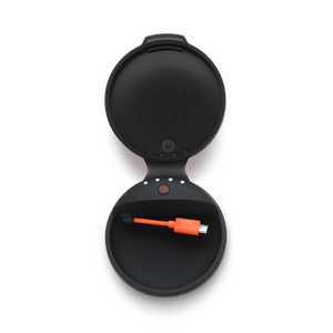 jbl_Chargoin_case_detail-