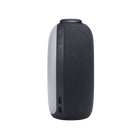 JBL Horizon 2 FM | アラームクロック＆FMラジオ搭載Bluetoothスピーカー