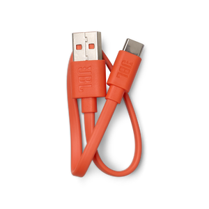 Image of USB Type-C Charging Cable for JBL Tune Flex 2 Ghost Edition