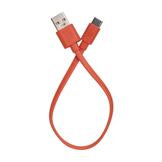 Type-C USB Charging Cable for JBL WAVE BUDS 2 - Orange - Hero Image of Type-C USB Charging Cable for JBL WAVE BUDS 2
