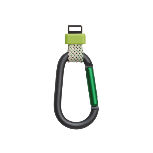 Carabineer for JBL Flip 7 - Green - Hero image number null