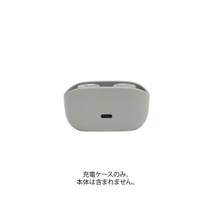 Alternative image of WAVE 100TWS Charging case