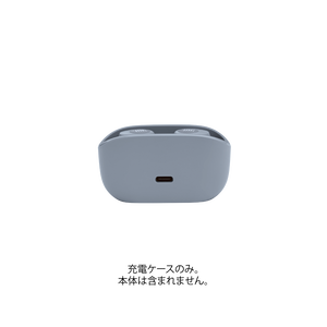 Alternative image of WAVE 100TWS Charging case